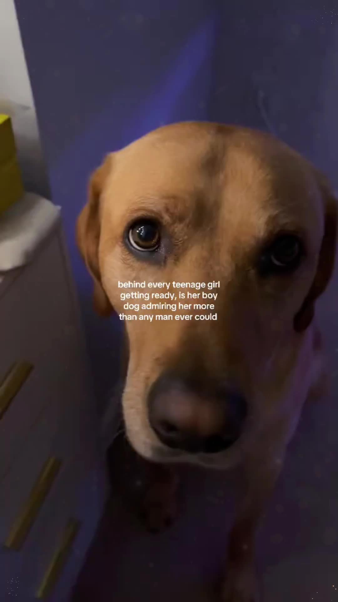 @maskmale0