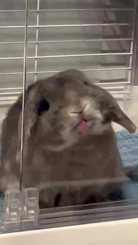 @-_-