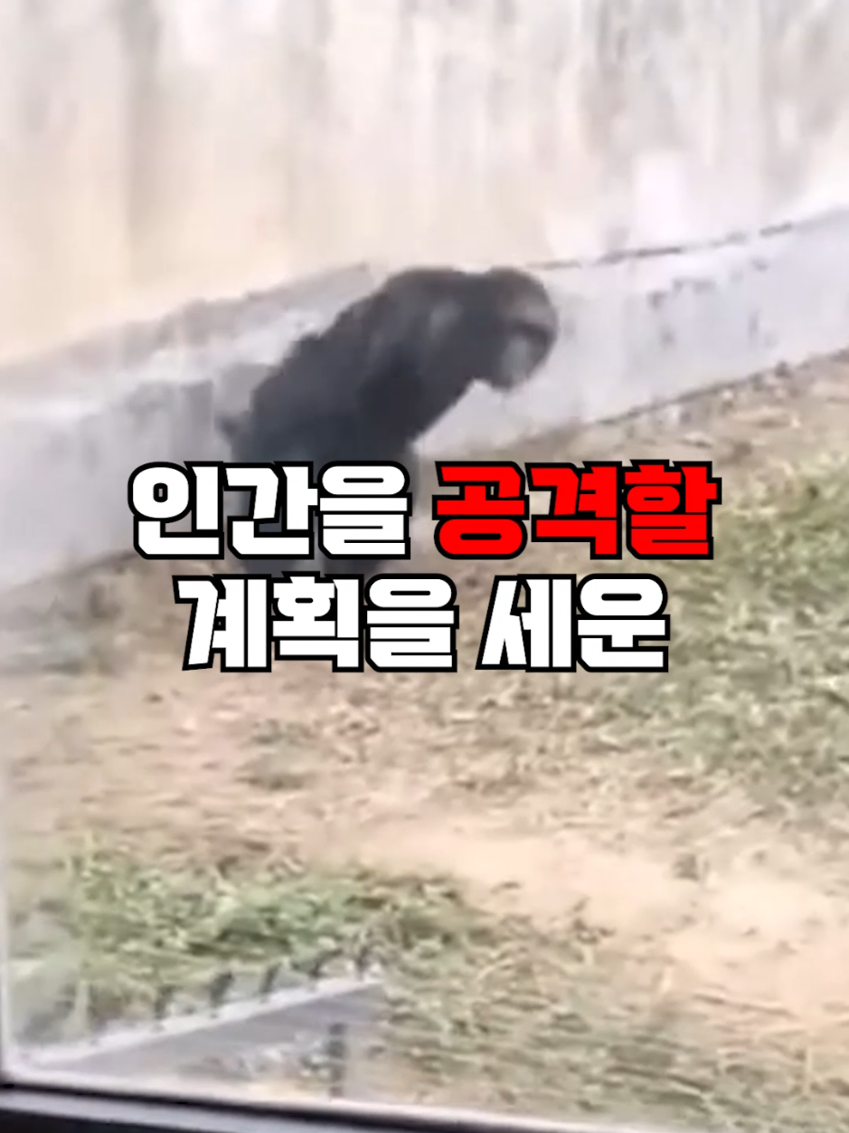 @뚝딱 상식 뚝배기
