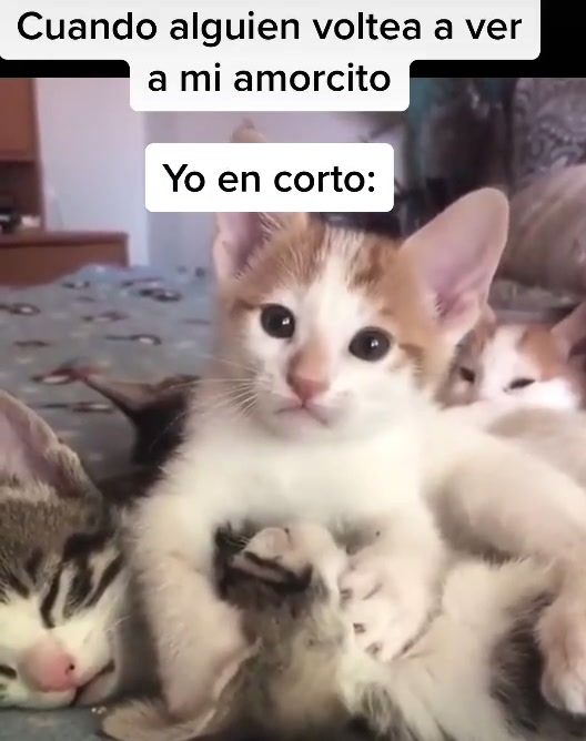 @Belsy de Le&oacute;n