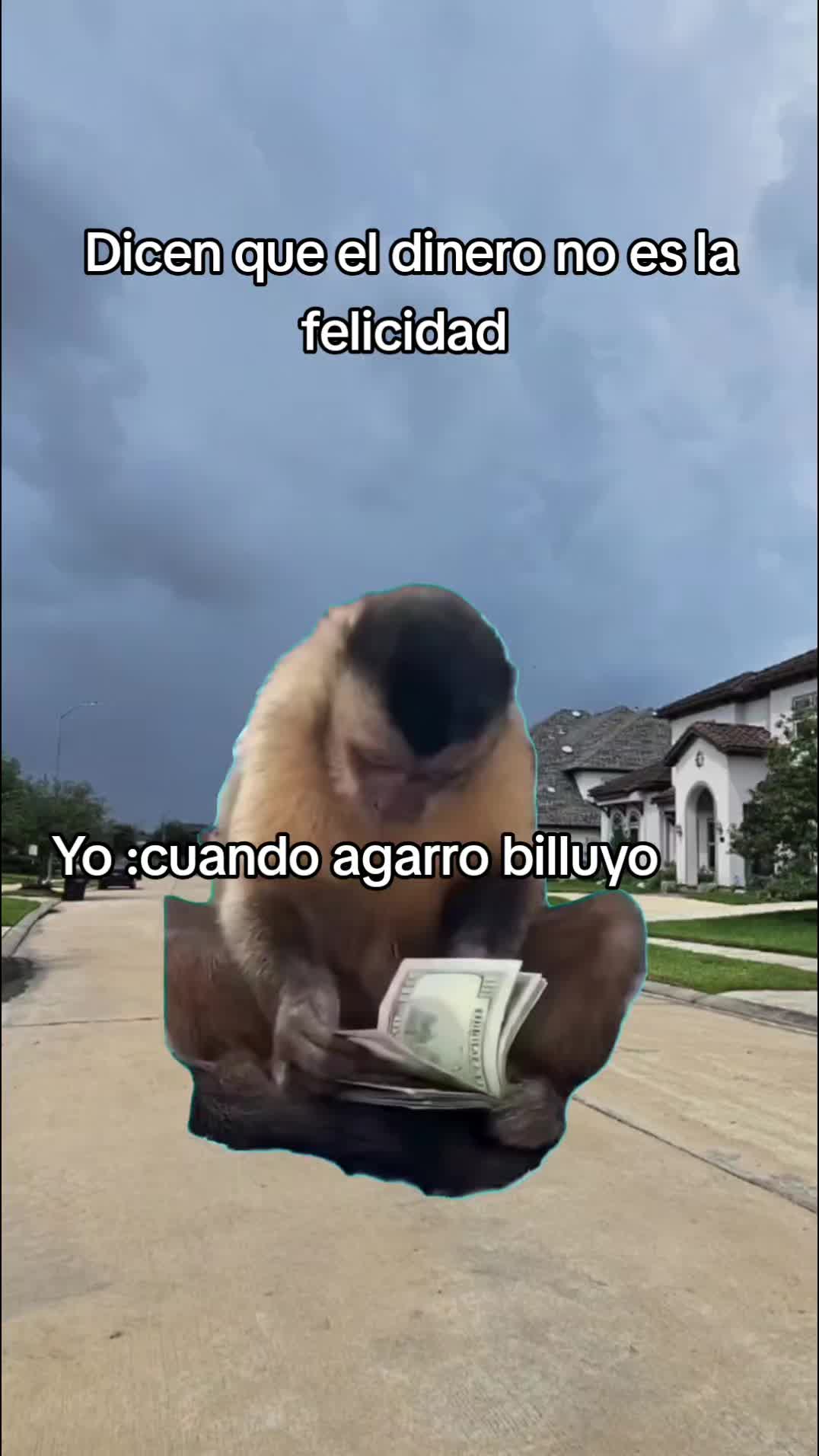 @Rápido💫&🌻Furioso🧝♀️