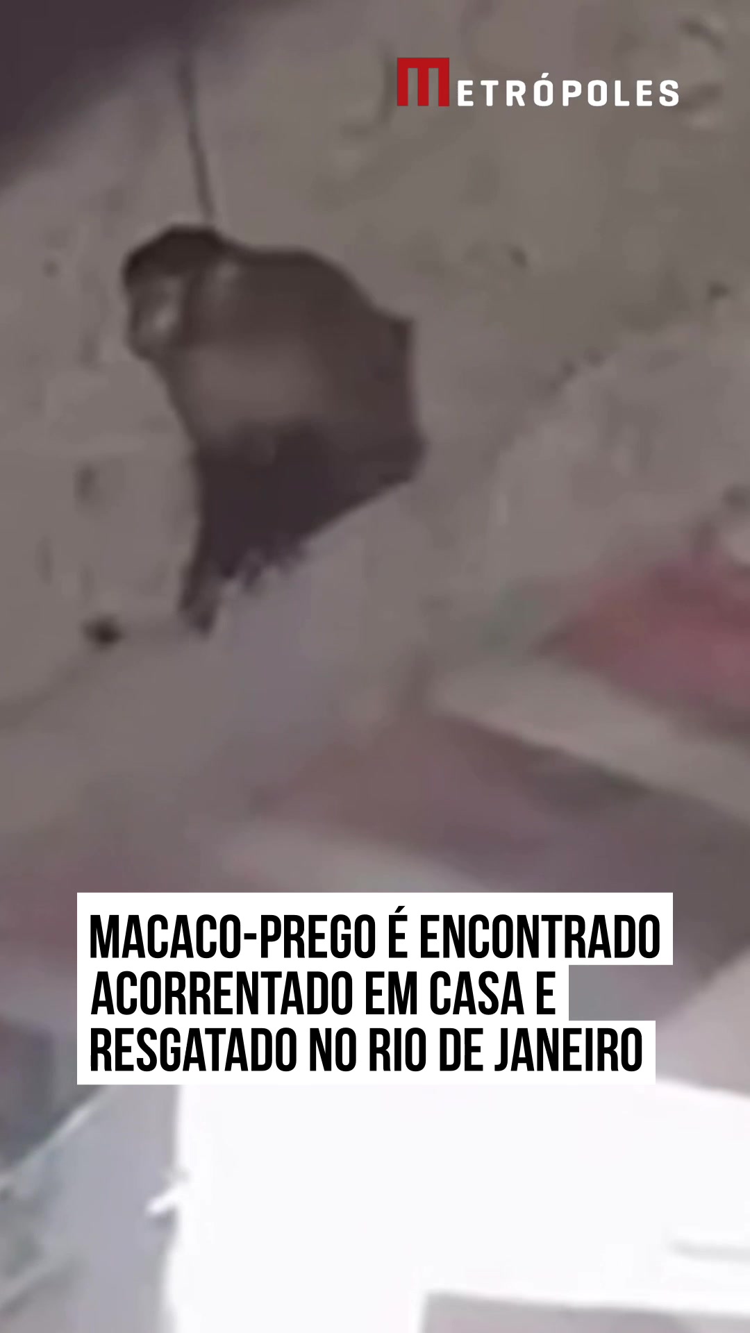 @Metr&oacute;poles Oficial