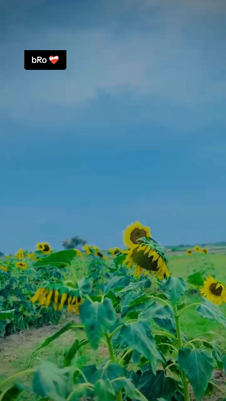 @🏴☠️ÇøMråDË🖕ĶخÅň☠️🏴