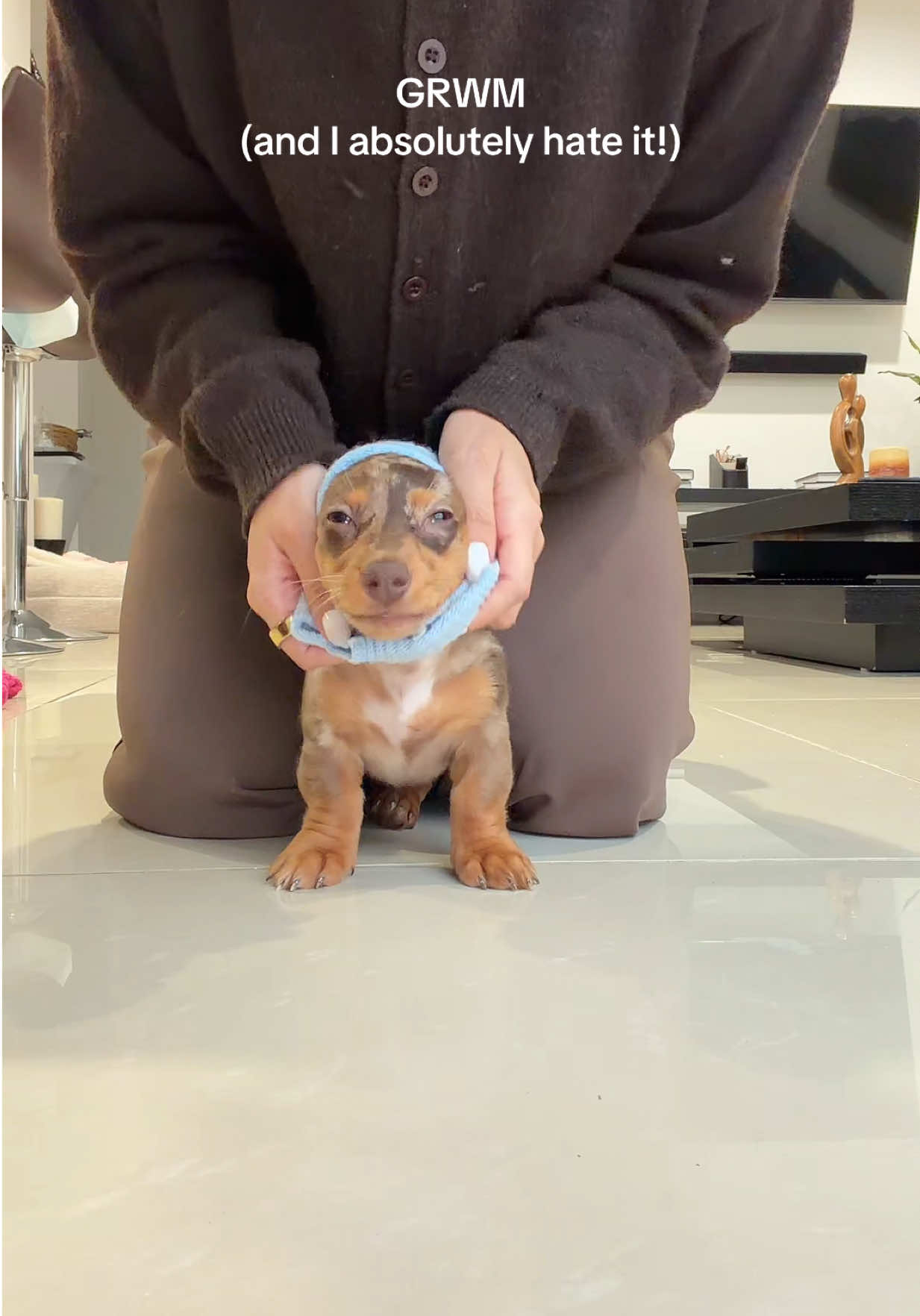@Oli the Mini Doxie
