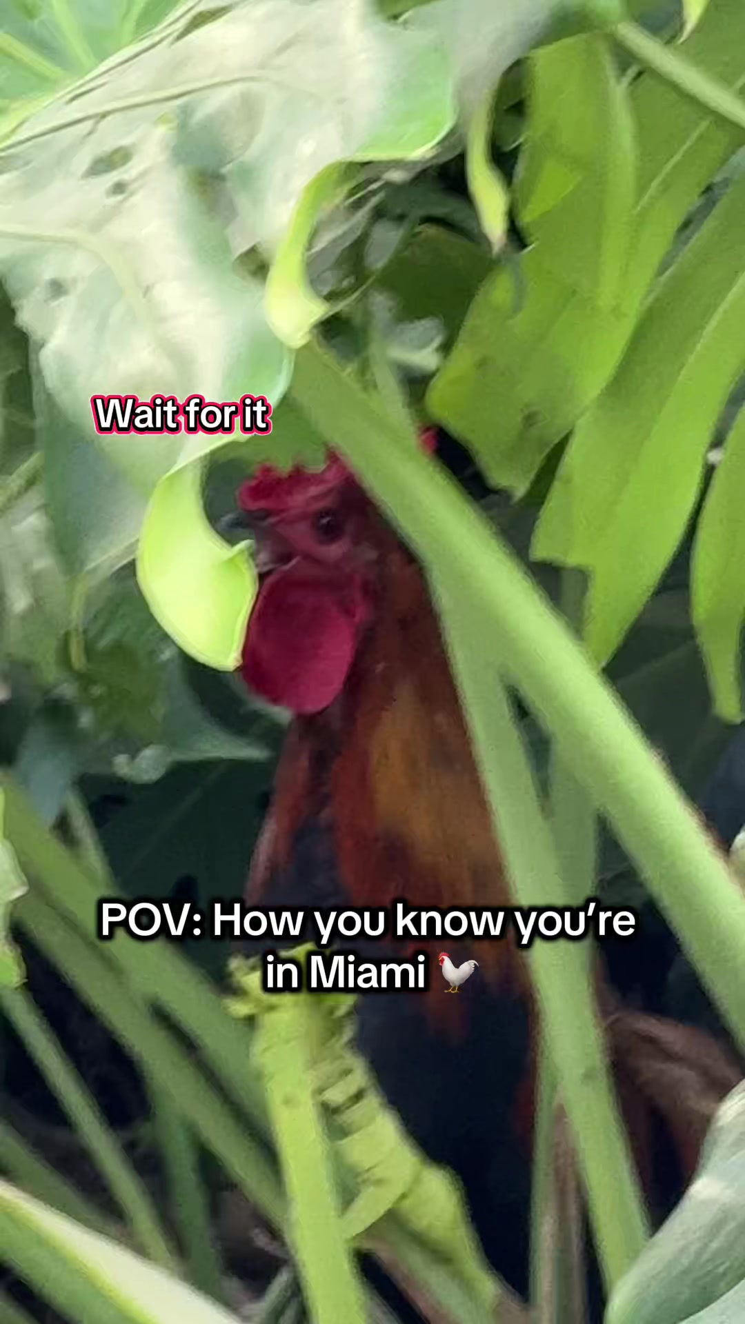 @Live in Florida