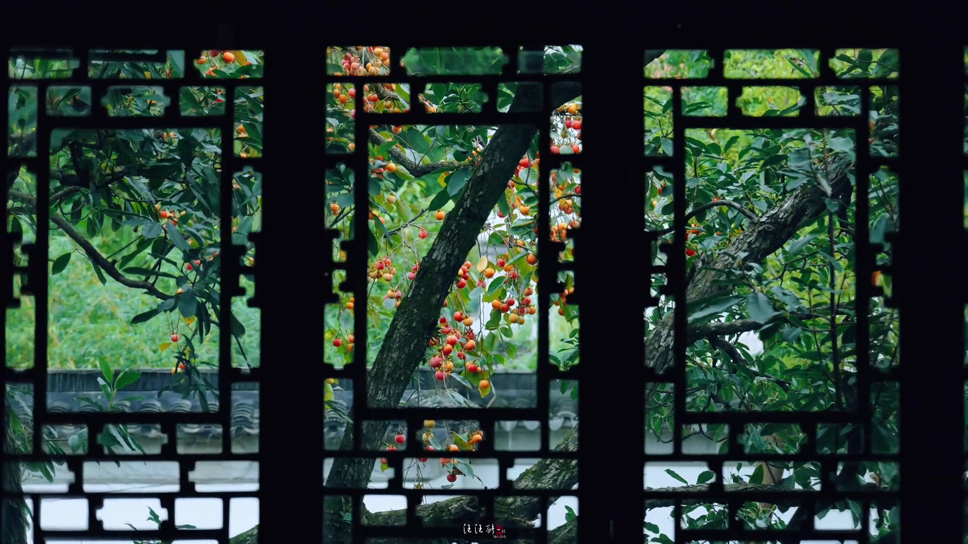 @Tuyết Lạc Sơn Trang