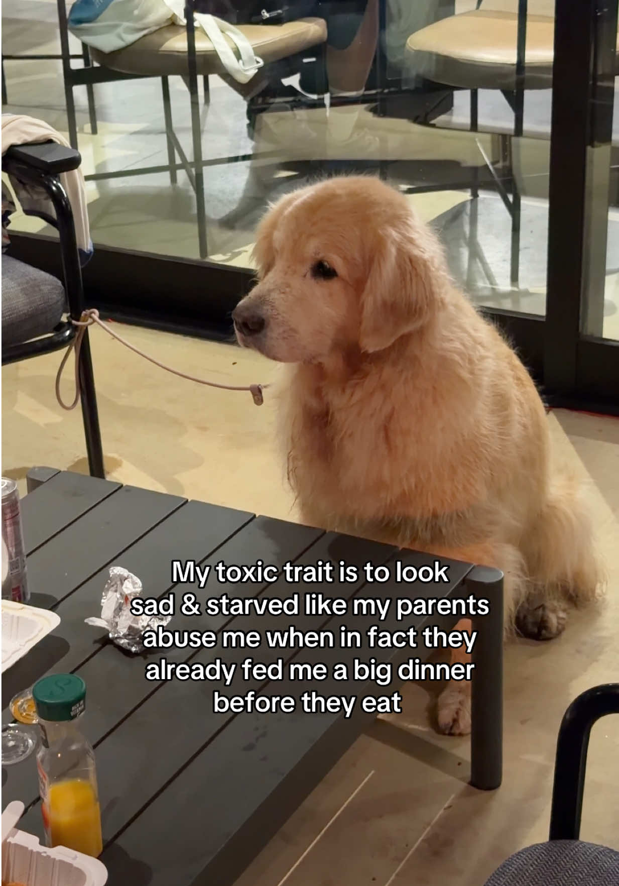 @Maui, Ruby +Hugo