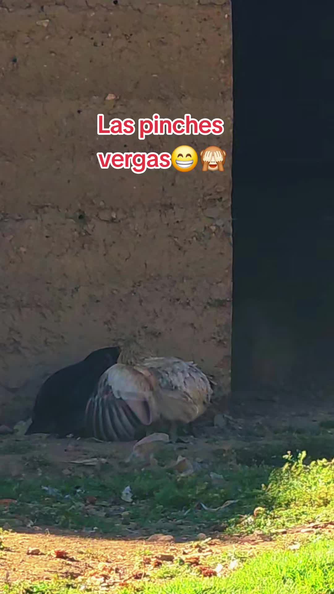 @🔥ㄚ龱尺ᗪㄚ⼕ㄒ🔥
