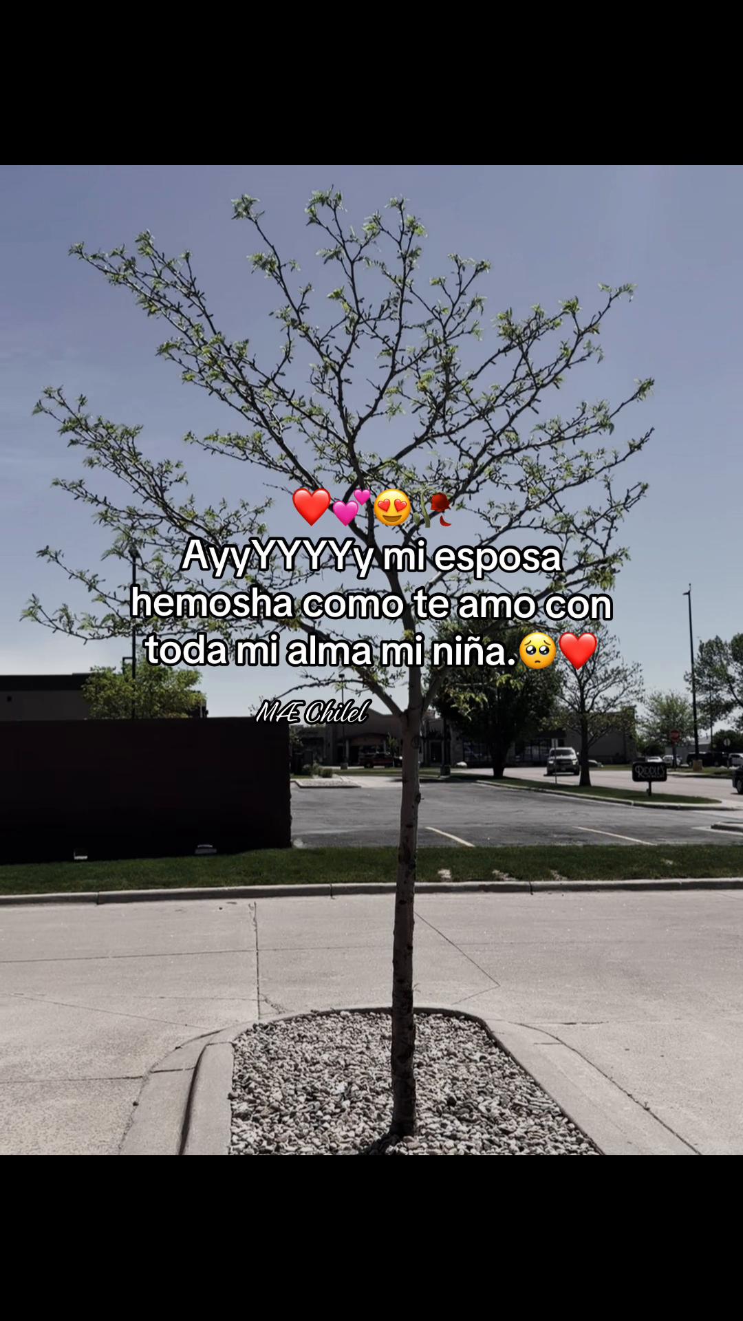 @🇬🇹<MÆ^Čhîlêl⁵⁰²🇬🇹