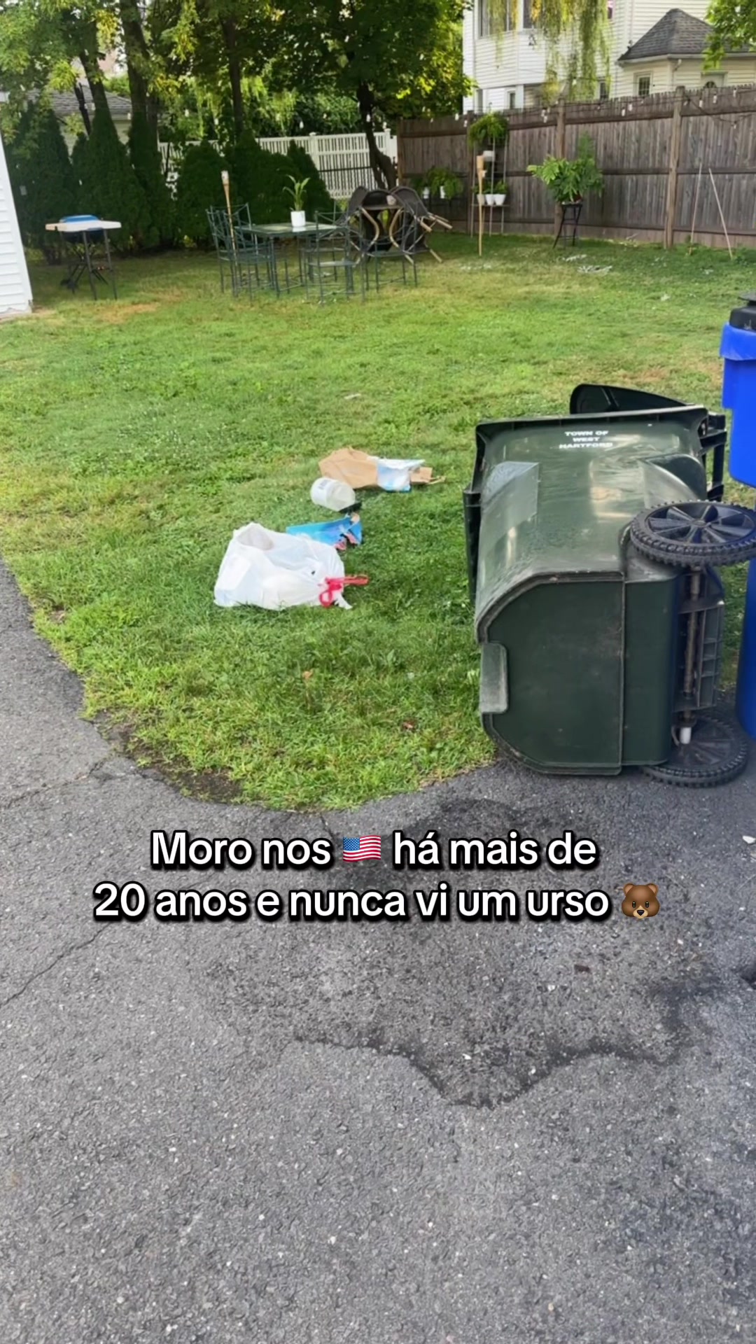 @Amanda Ribeiro