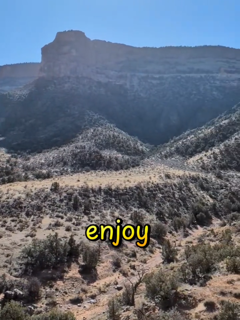 @Nikki J.