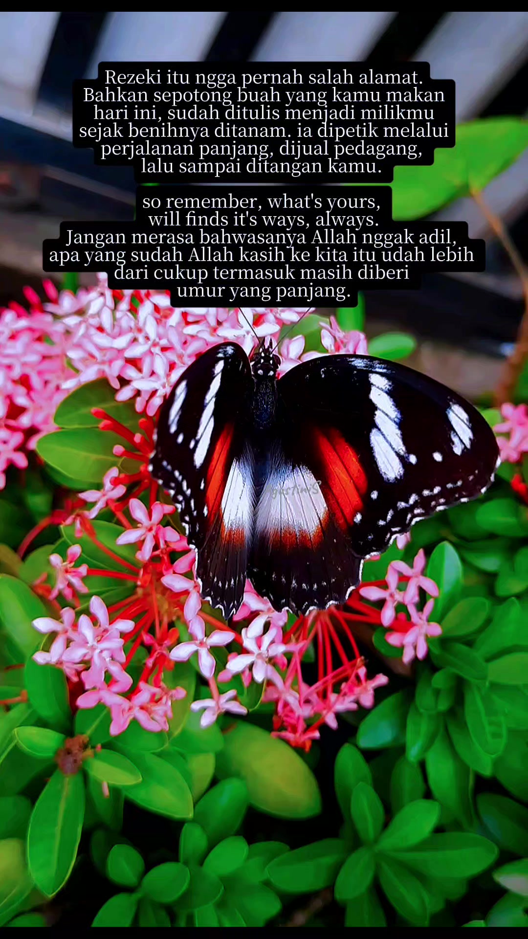 @Agustini Suharita