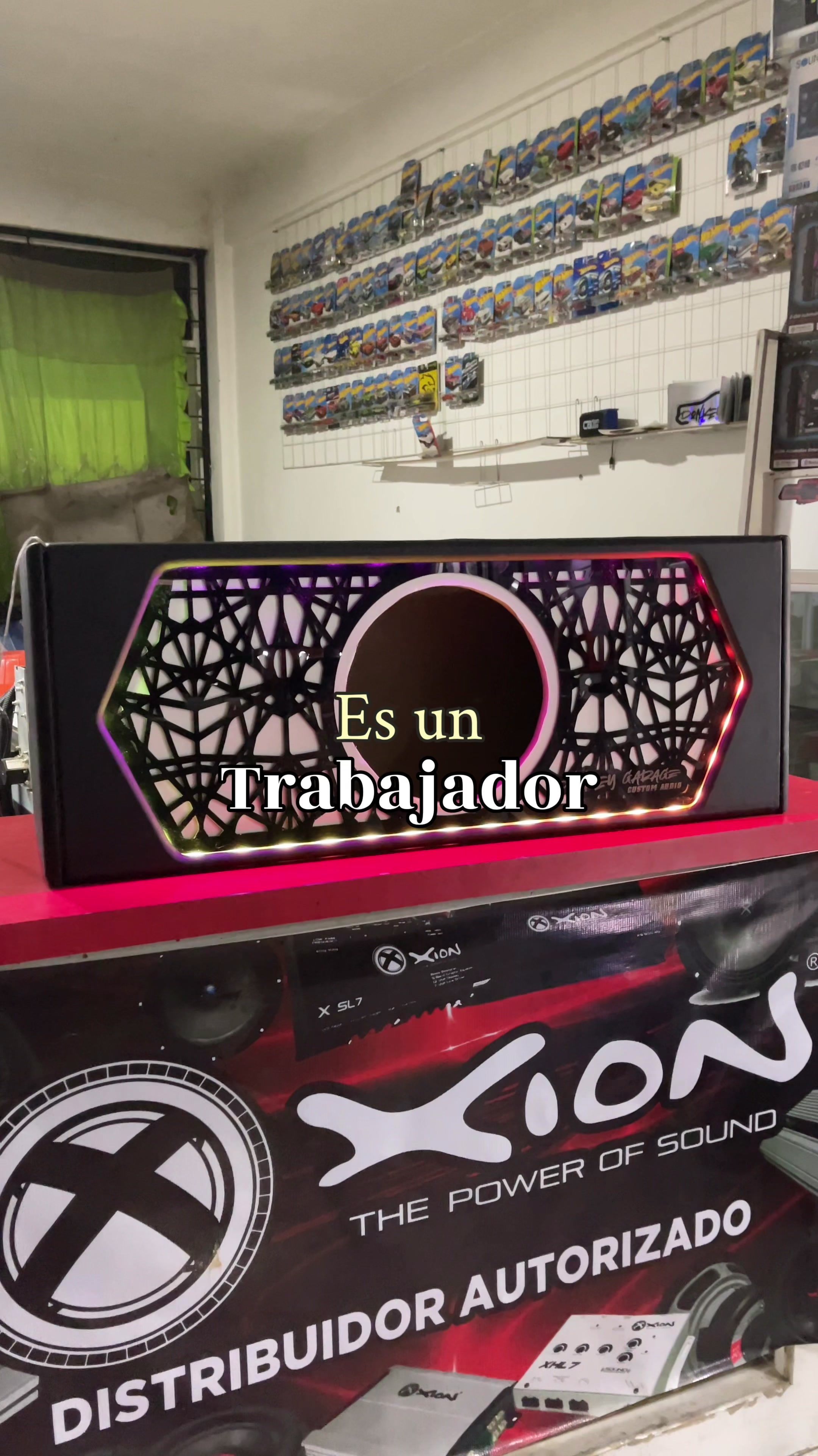 @DonkeyGarageCustomAudio🔊🔥