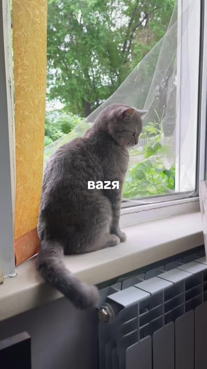 @хх