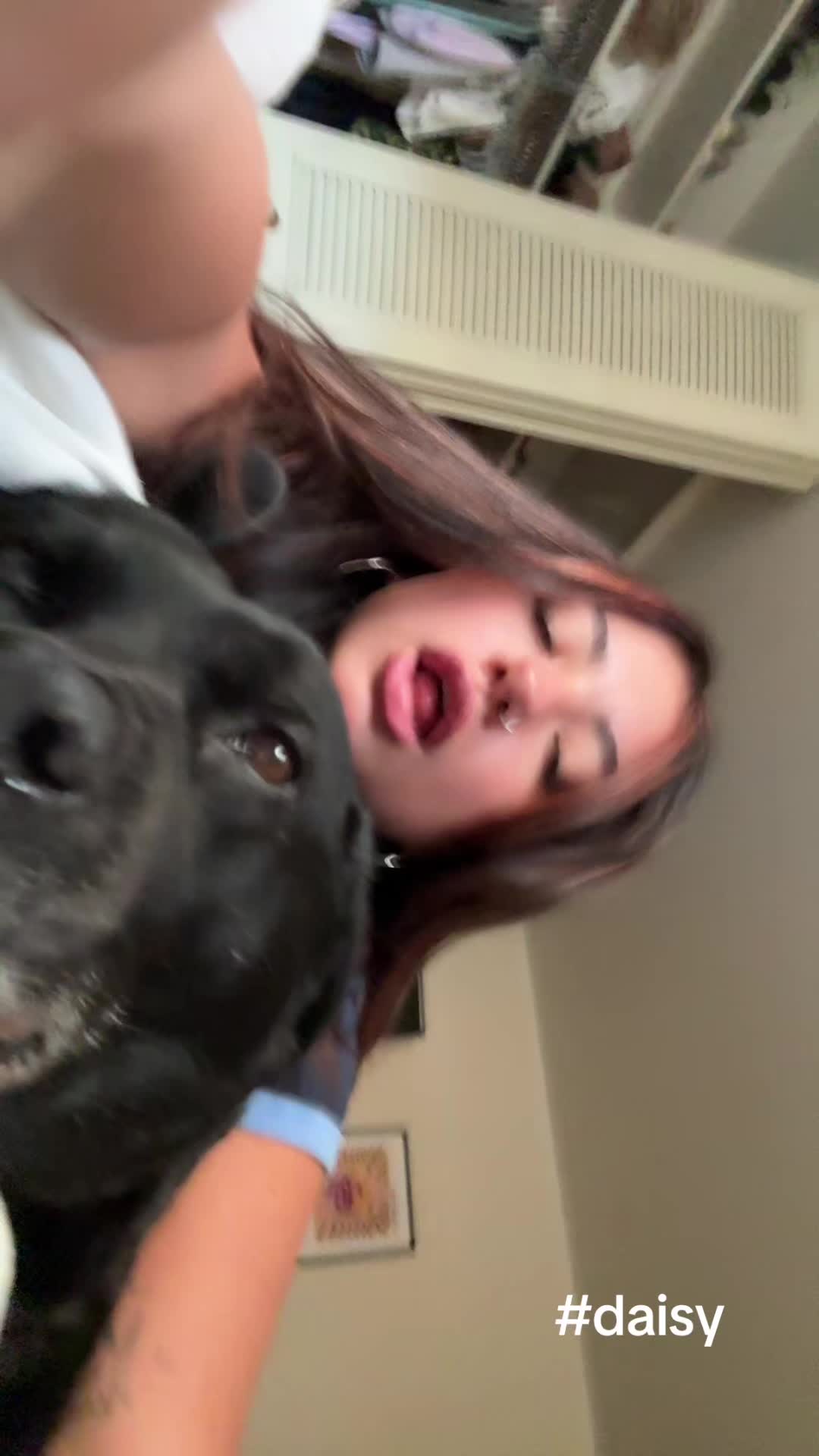 @bella