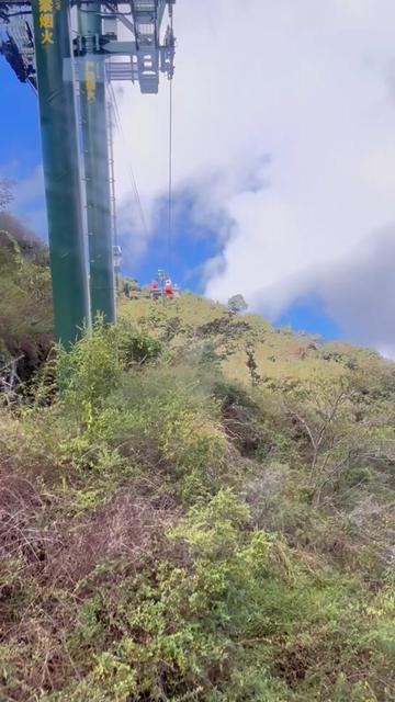 @Tara Lama Tamang