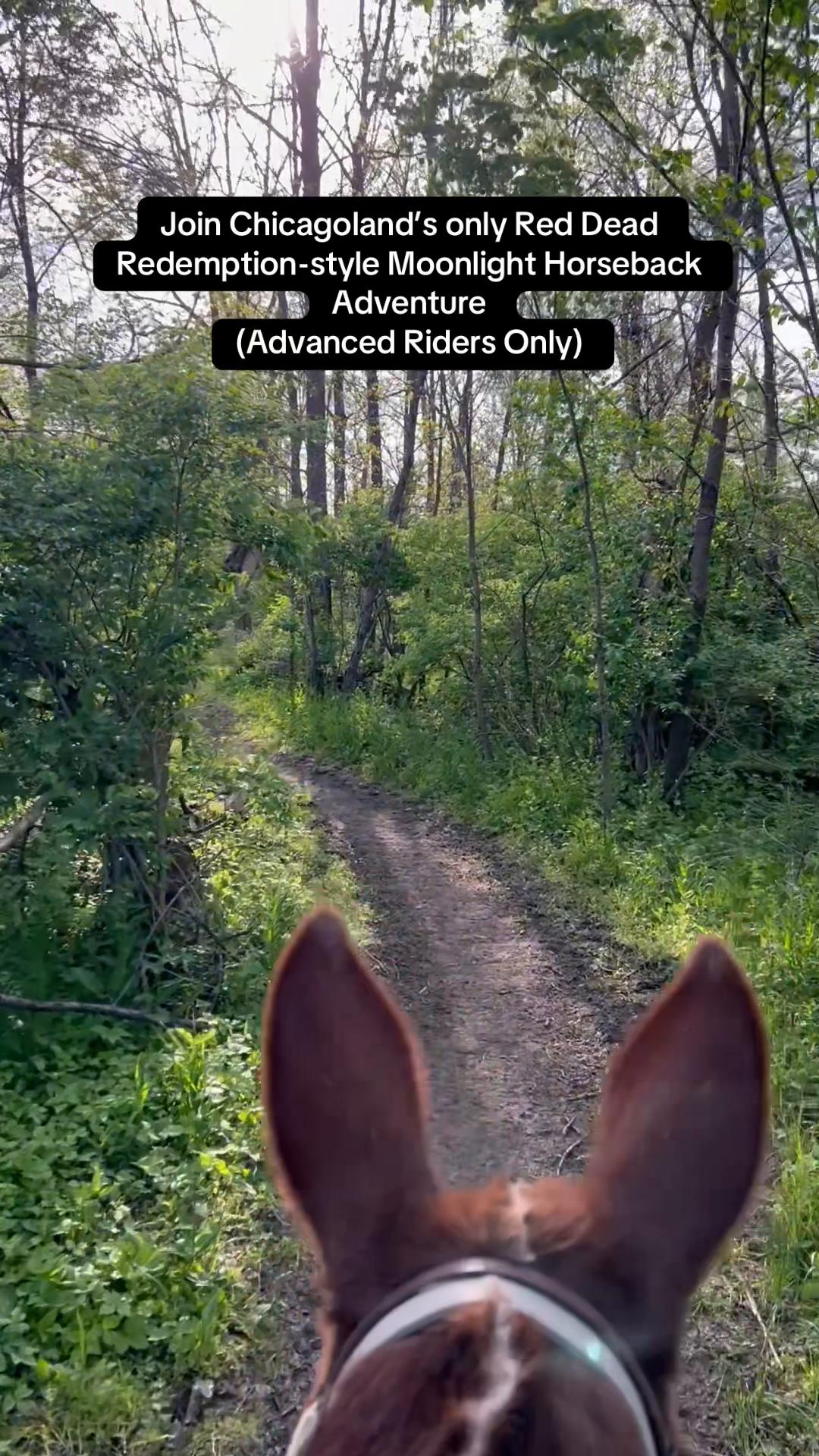 @SaddleSnaps