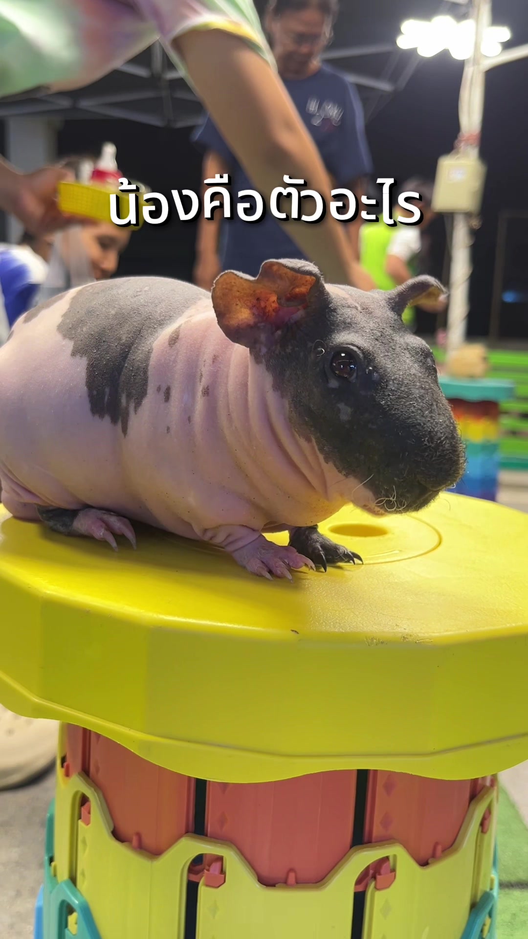 @Khunmim