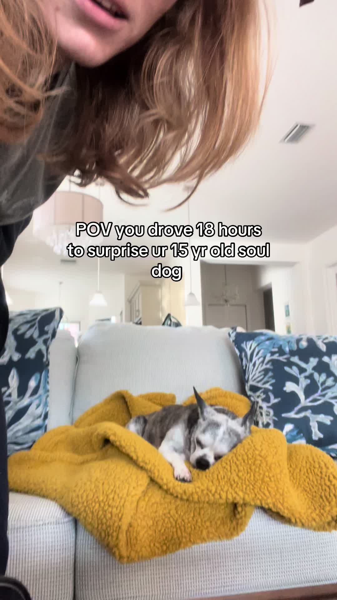 @GingerHaaze