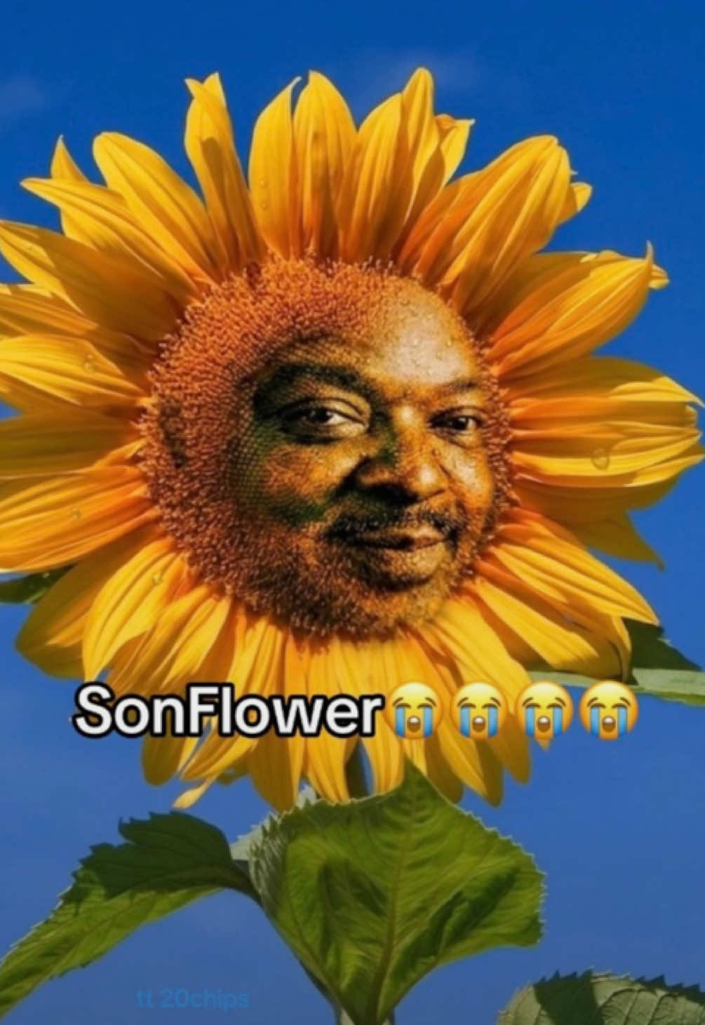 @โ๐ง๐ฒ๐ฉ๐ข๐ฐโ