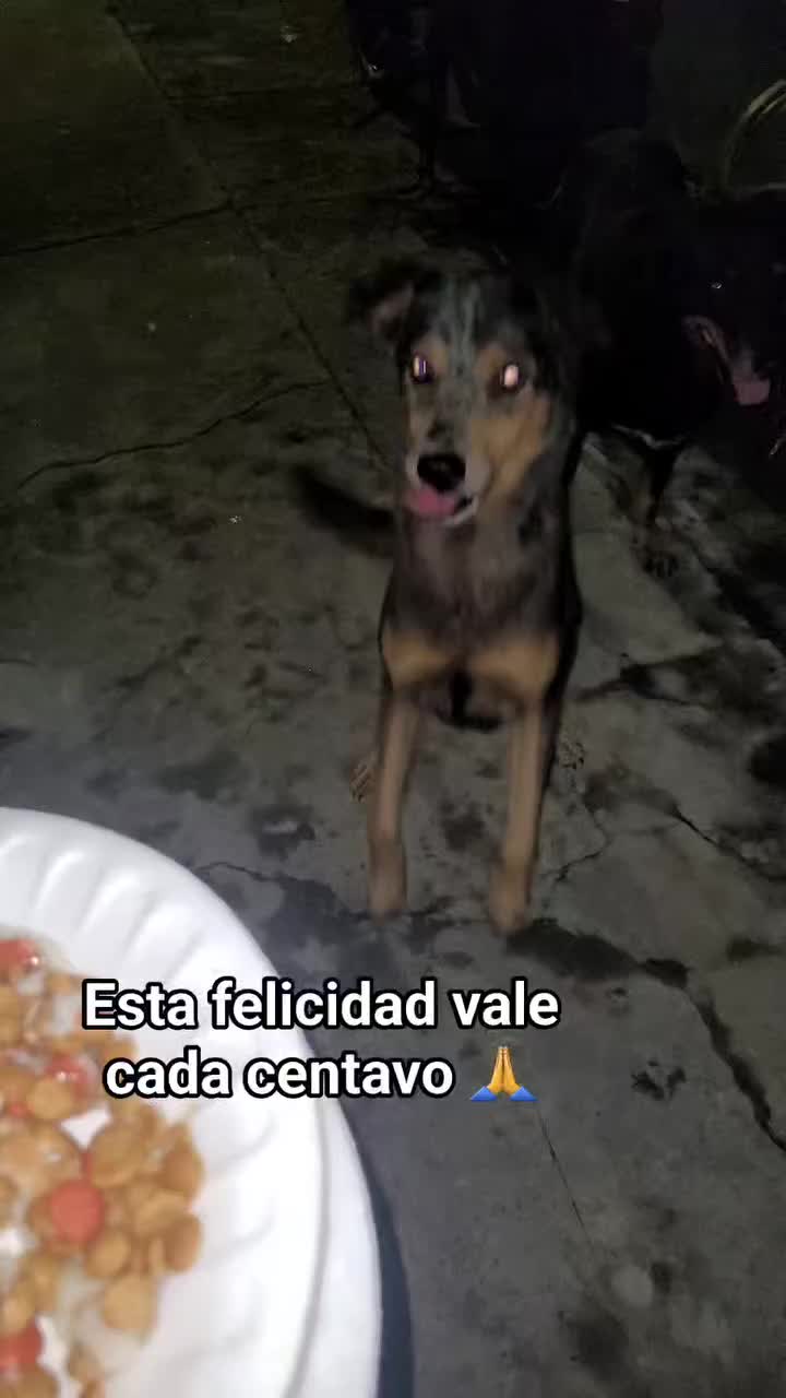 @𝕃𝕚𝕤𝕤 ℝ𝕖yes🇸🇻