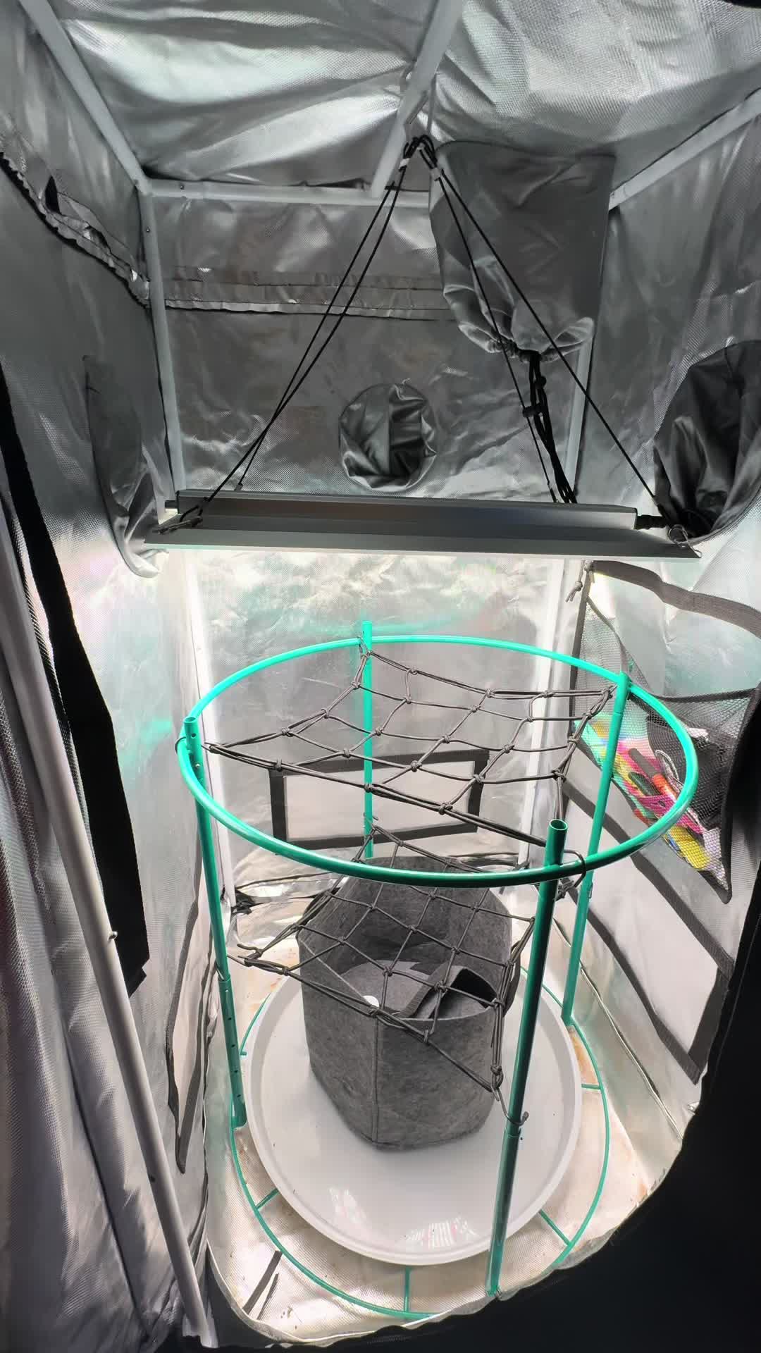 @CannaHut