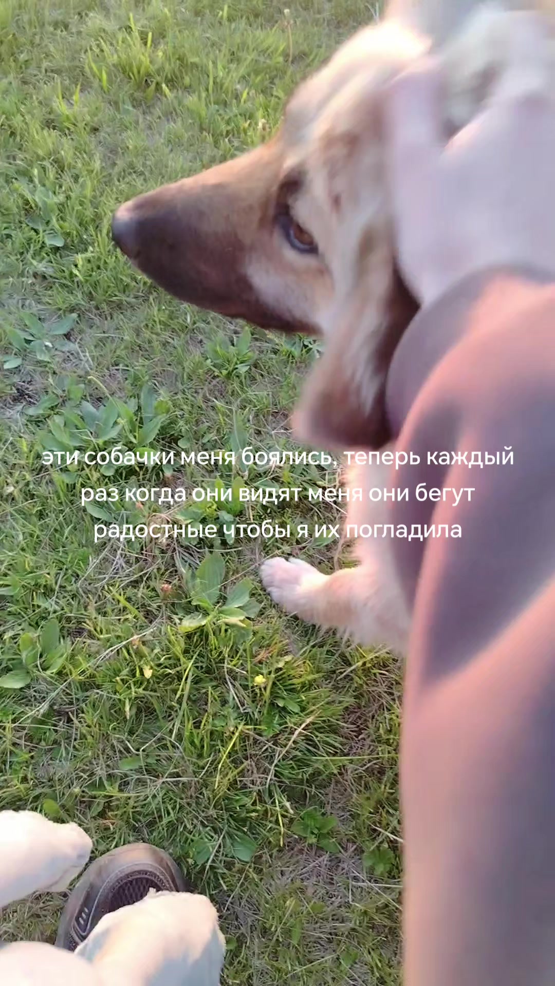 @Рисёнок