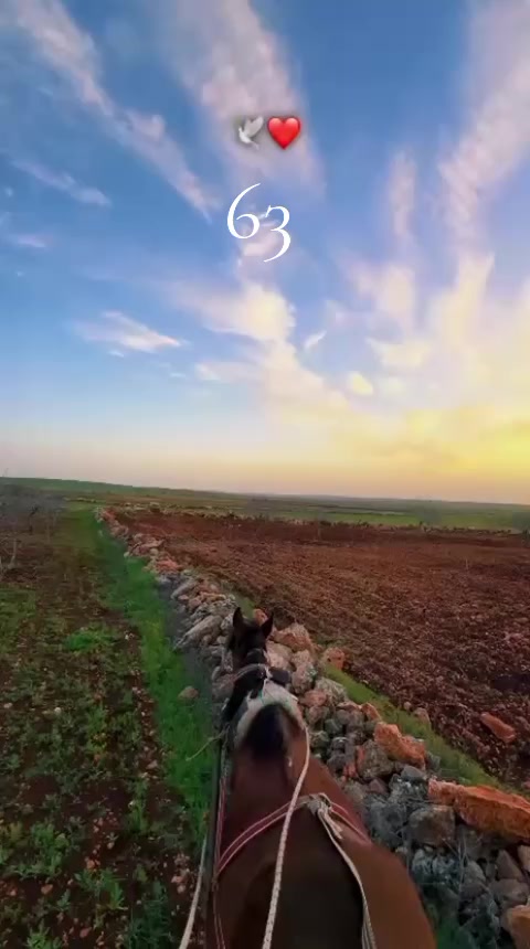 @Yıldırımbilal634