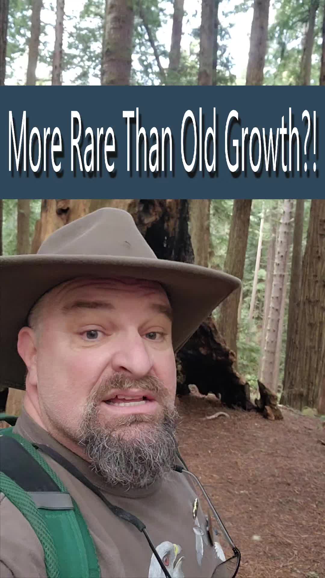 @Redwoods Rising