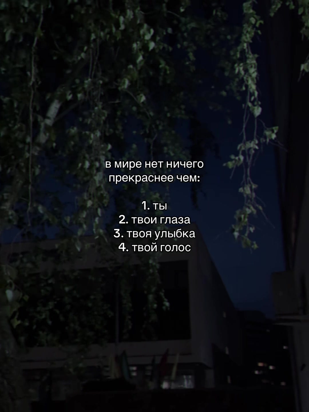 @ᴍᴜsɪᴄ ɪs ᴍʏ ʟɪꜰᴇ