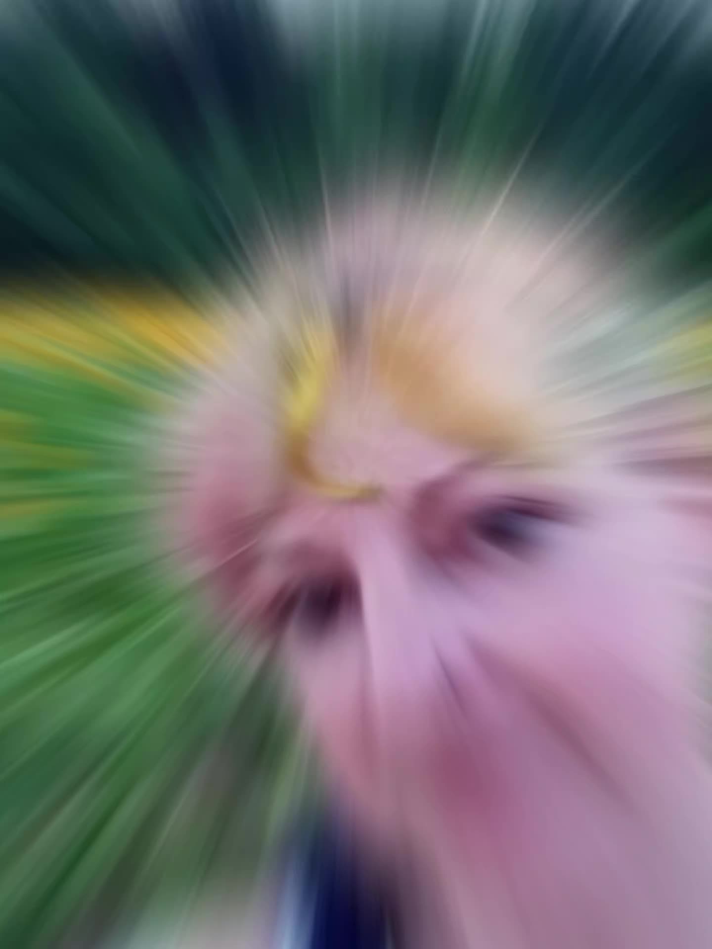 @Lost Lenore