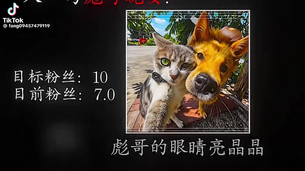 @内马尔 虎天帝Mudoluyuji🇲🇾