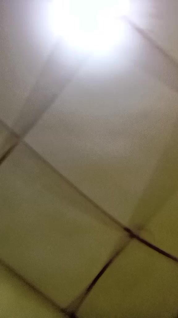 @pudan
