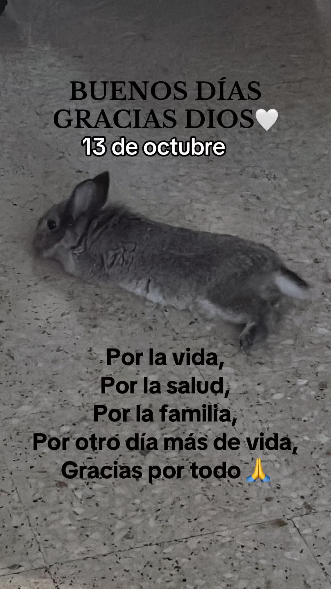 @8luisplaza8