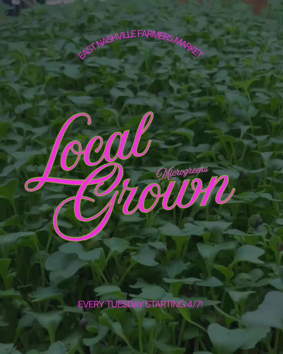 @Local Grown