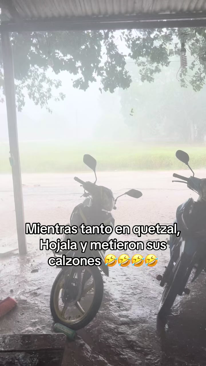 @Ani