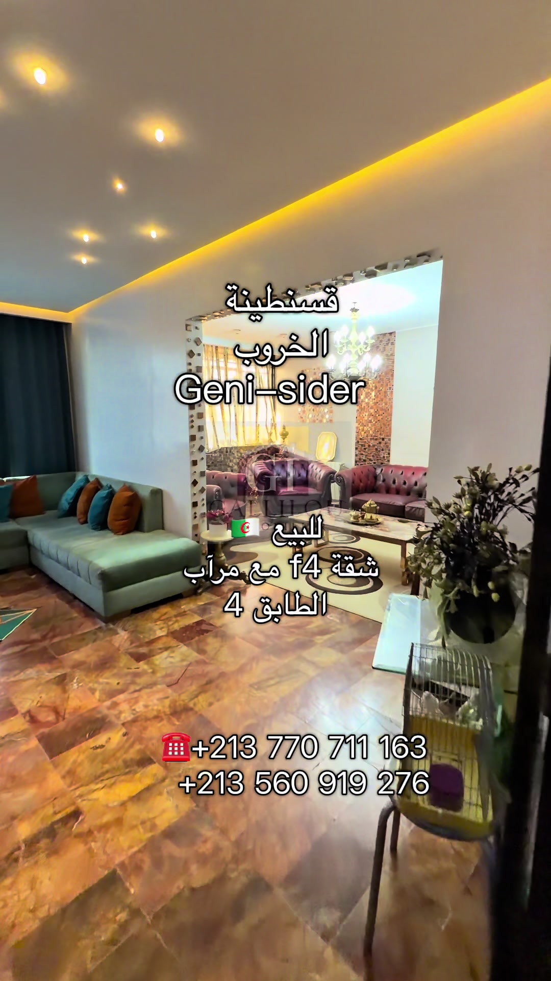 @Gallilou immobilier
