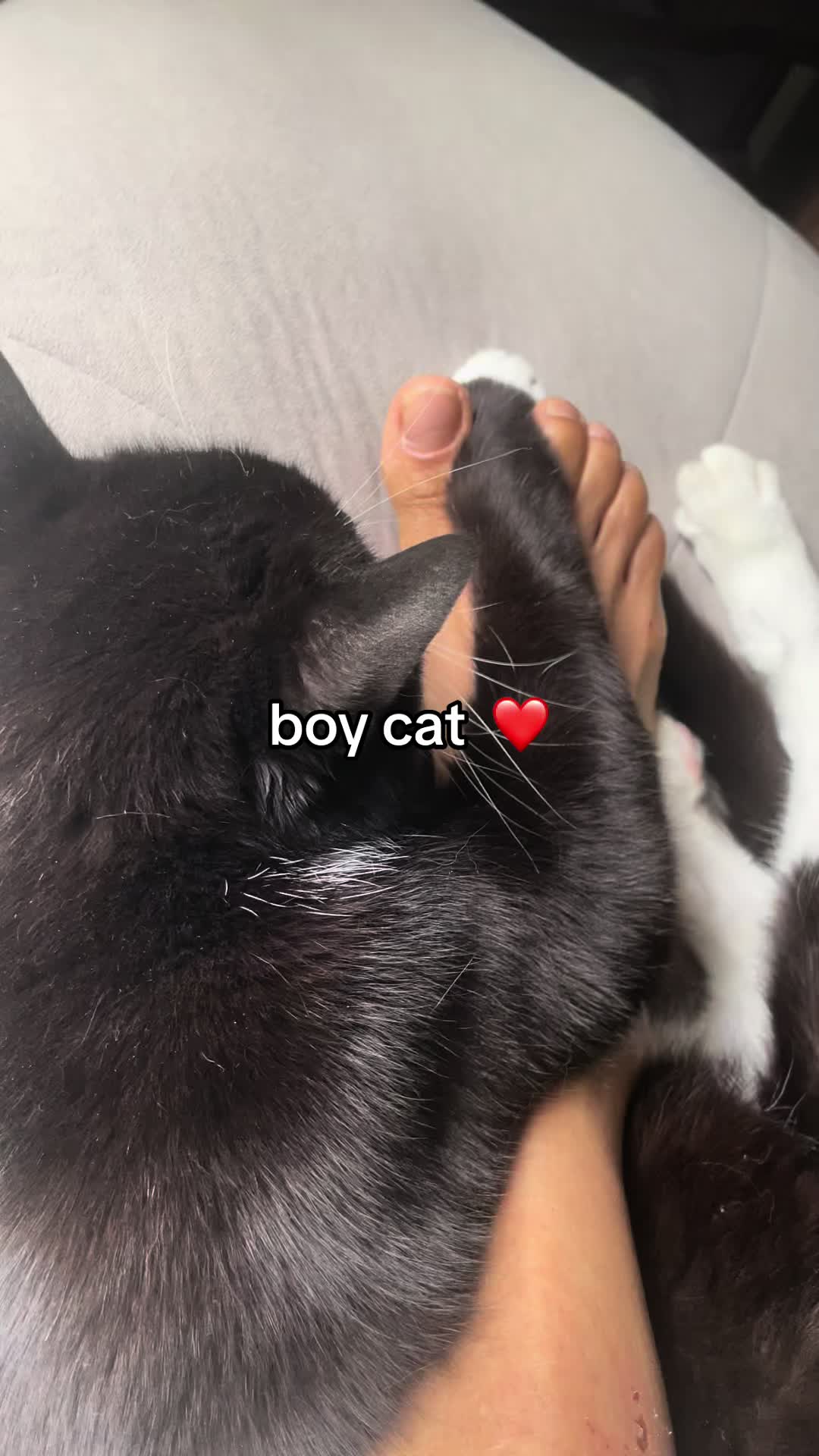 @Pablo & Luigi 🐾