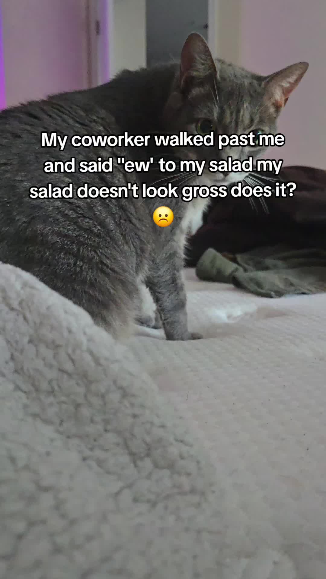 @PoochSnooch