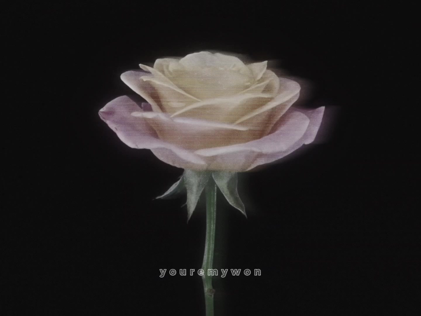 @y✮m