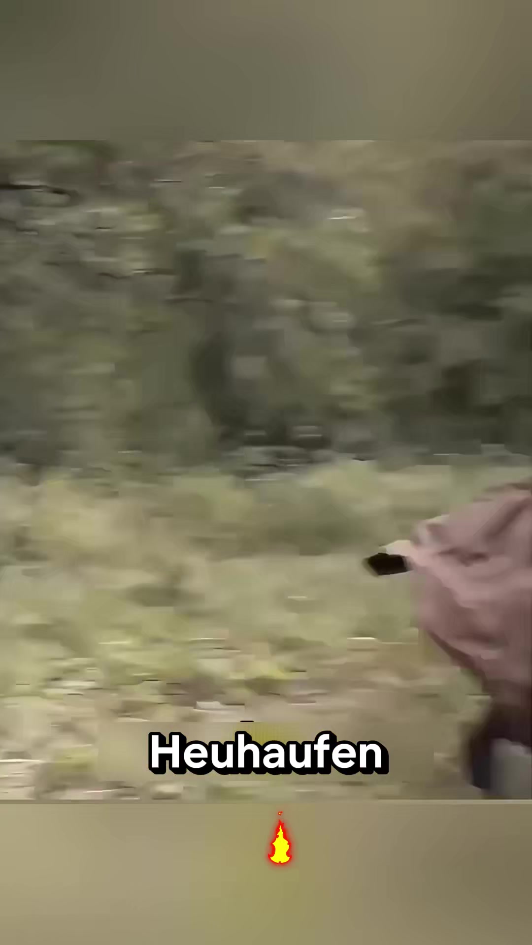@acnljn