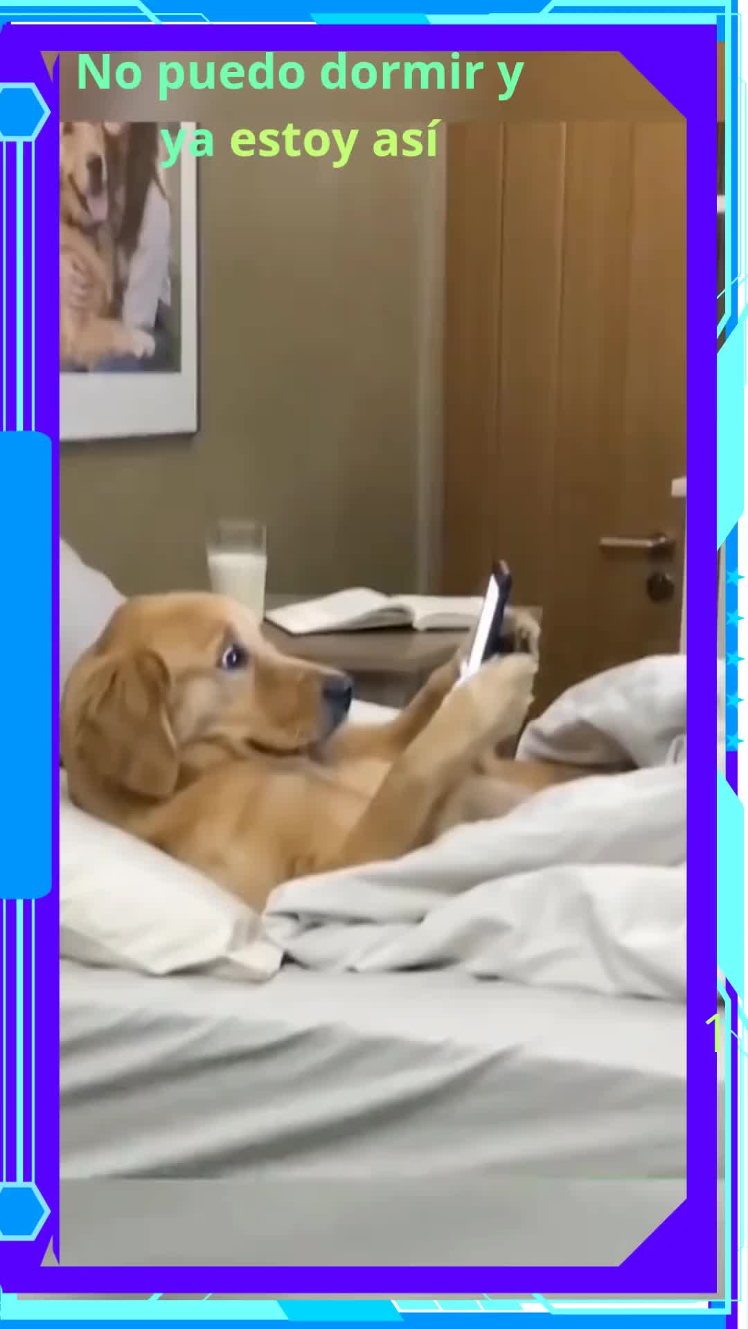 @gamer5003
