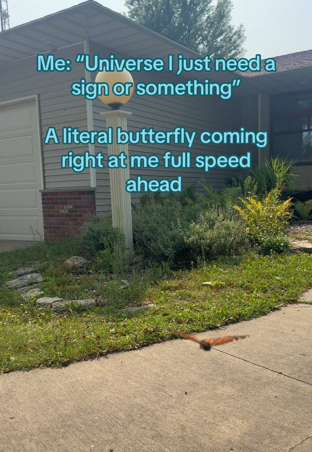 @☆ 𝐿𝑢𝑐𝑘𝑦 𝐿𝑒𝑒𝑛 ☆