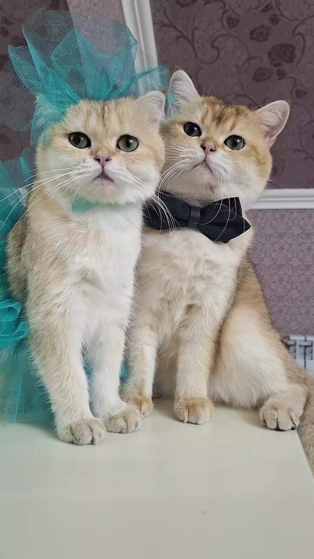@Zoo_JASMİN🦂🥰