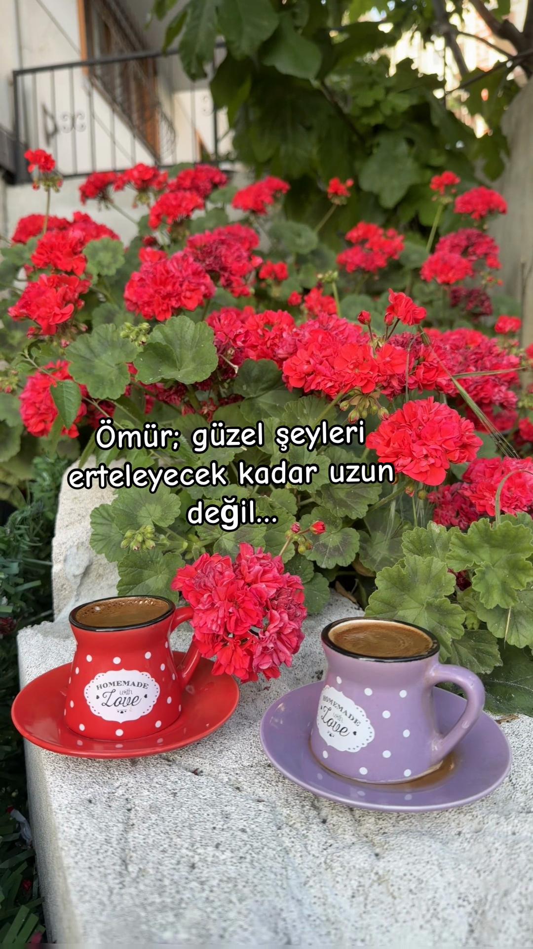 @〰️&bull;.🤍58T&uuml;lay34🤍.&bull;〰️