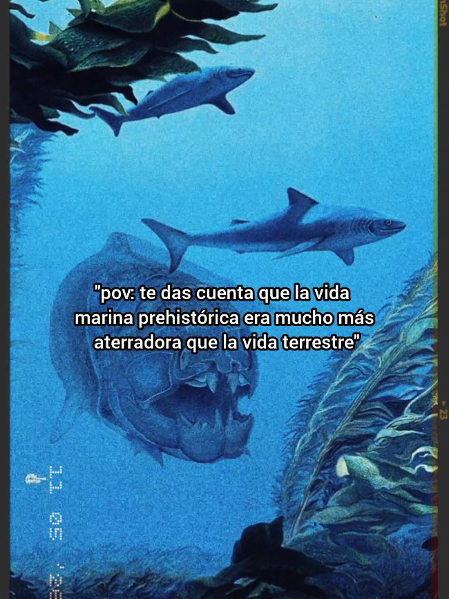 @Misterios