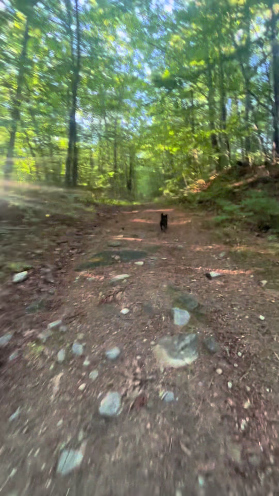 @💙The Sober Wanderer💙⛰️🥾🏕️