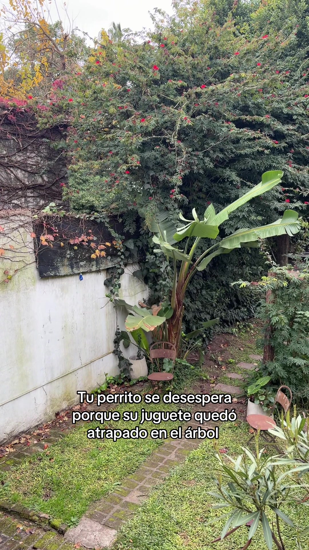 @Narco🐕🐾🐾