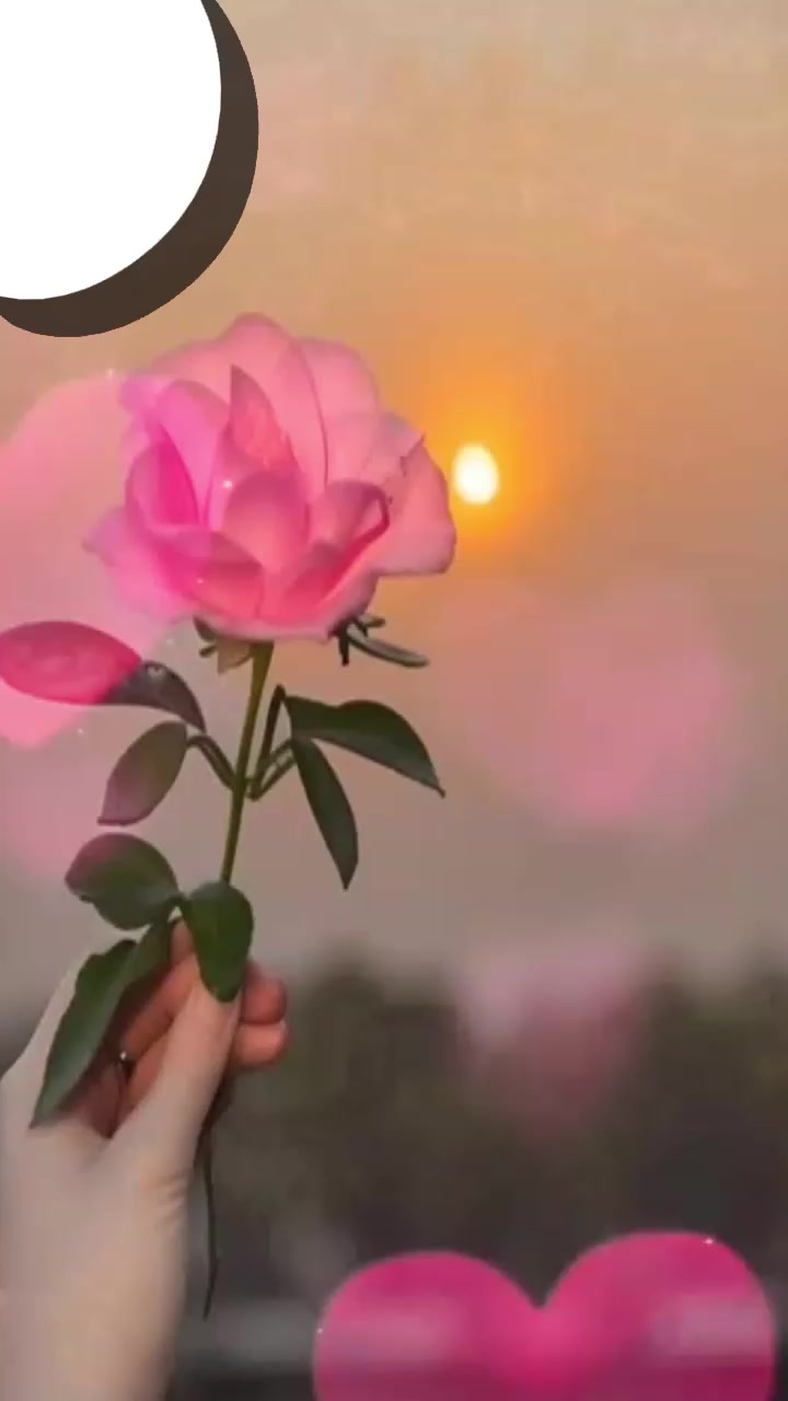 @Zoraida Llerena ❤️