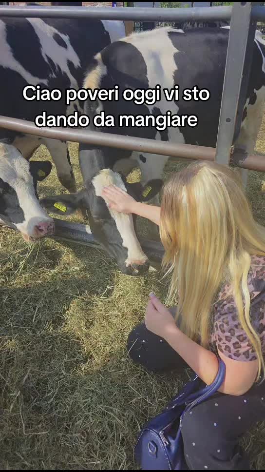 @Mioara Sandu